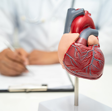 Blood Volume Analysis img